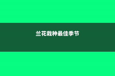 兰花播种时间是什么，怎么播种和养护？ (兰花栽种最佳季节)