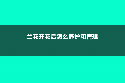 兰花开花后怎么处理：怎么浇水、茎怎么剪？ (兰花开花后怎么养护和管理)