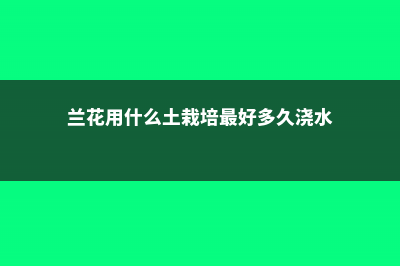 兰花用什么土栽培最好（配制方法详解） (兰花用什么土栽培最好多久浇水)