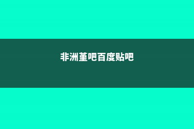 非洲堇春天怎么养 (非洲堇吧百度贴吧)