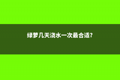 绿萝多久浇一次水，叶面多久喷一次水？ (绿萝几天浇水一次最合适?)