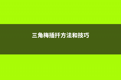 三角梅插扦方法：几月份扦插、如何生根快？ (三角梅插扦方法和技巧)