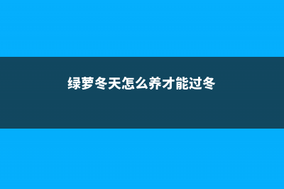 绿萝冬天应该怎么养 (绿萝冬天怎么养才能过冬)