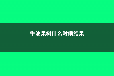 牛油果树什么时候打顶（树形整形方法） (牛油果树什么时候结果)