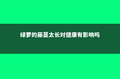 绿萝的藤蔓太长怎么办，怎么做攀爬架、缠绕造型好看？ (绿萝的藤蔓太长对健康有影响吗)