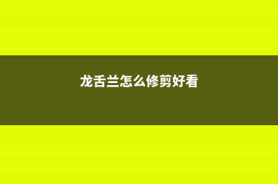 龙舌兰怎么修剪 (龙舌兰怎么修剪好看)