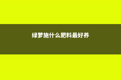 绿萝施什么肥料长得好，叶子更绿？ (绿萝施什么肥料最好养)