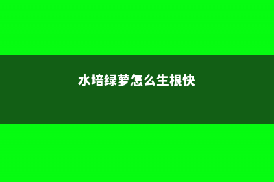 水培绿萝怎么生根快，不生根怎么办？ (水培绿萝怎么生根快)