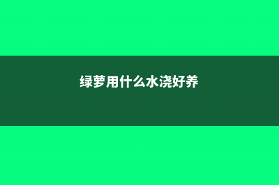 绿萝用什么水浇最好 (绿萝用什么水浇好养)