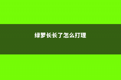 绿萝长长了怎么打理 (绿萝长长了怎么打理)