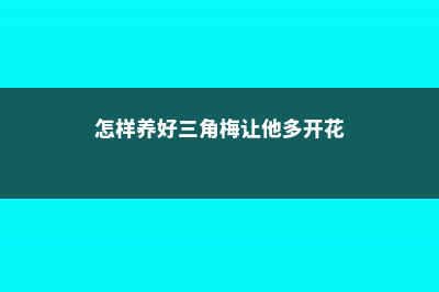 怎样养好三角梅 (怎样养好三角梅让他多开花)