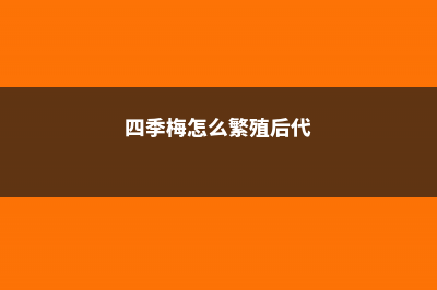 四季梅怎么繁殖 (四季梅怎么繁殖后代)