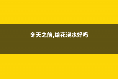 冬天之前，给花浇点“它”，土壤不结块儿，植物长得旺 (冬天之前,给花浇水好吗)