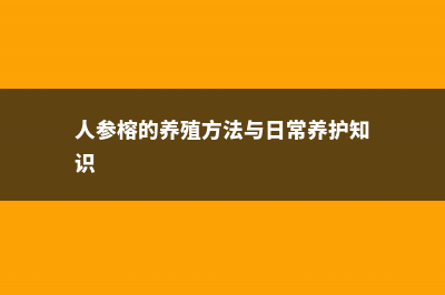 人参榕的养殖方法和注意事项 (人参榕的养殖方法与日常养护知识)