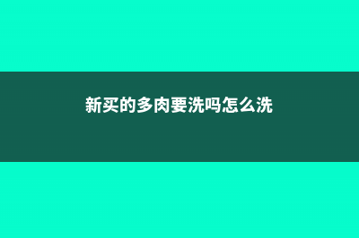 新买的多肉要洗根吗 (新买的多肉要洗吗怎么洗)