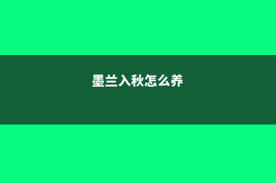 墨兰秋天怎么养 (墨兰入秋怎么养)