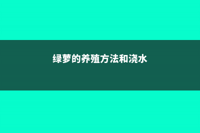 绿萝的养殖方法和注意事项 (绿萝的养殖方法和浇水)