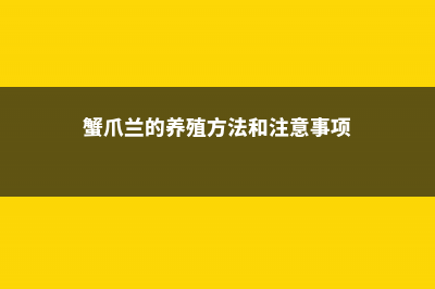 蟹爪兰的养殖方法和注意事项 (蟹爪兰的养殖方法和注意事项)