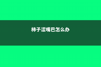 柿子发涩麻嘴巴，往皮上抹点“酒”，放3天，拿出来香甜可口！ (柿子涩嘴巴怎么办)