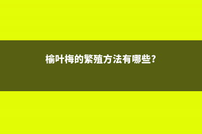 榆叶梅的繁殖方法 (榆叶梅的繁殖方法有哪些?)