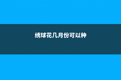 绣球花几月份可以扦插 (绣球花几月份可以种)