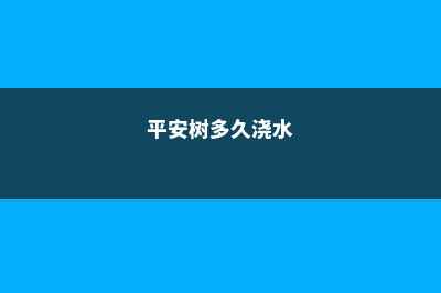 平安树多少天浇一次水 (平安树多久浇水)