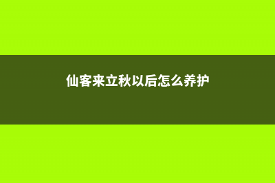 仙客来秋天怎么养 (仙客来立秋以后怎么养护)