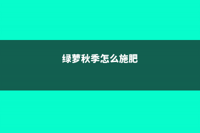 绿萝秋天怎么养 (绿萝秋季怎么施肥)