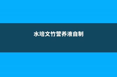 水培文竹自制营养液方法 (水培文竹营养液自制)