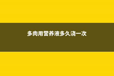 多肉能用营养液喷雾吗 (多肉用营养液多久浇一次)