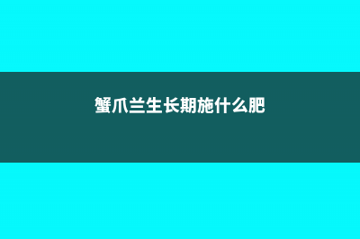 长寿蟹爪兰，用了这种土，蹭蹭长个冒花芽！ (蟹爪兰生长期施什么肥)