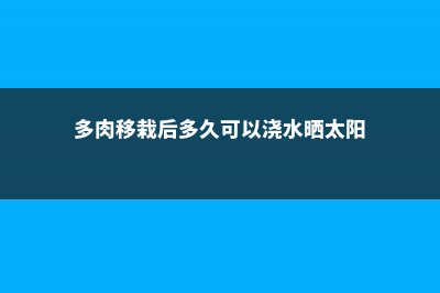 多肉移栽后多久晒太阳 (多肉移栽后多久可以浇水晒太阳)