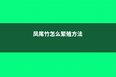 凤尾竹怎么繁殖 (凤尾竹怎么繁殖方法)