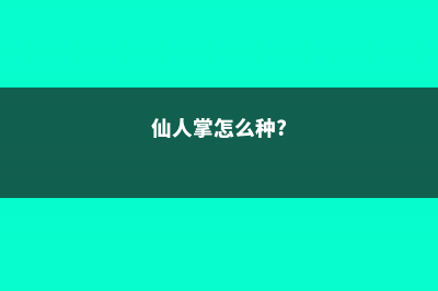 仙人掌怎么种 (仙人掌怎么种?)