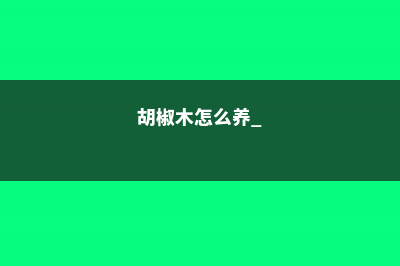 胡椒木怎么养 