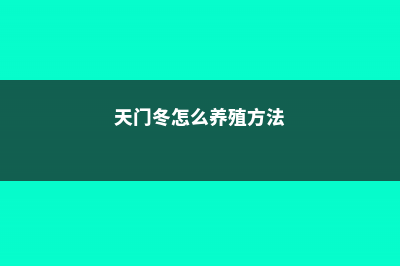 天门冬怎么养 (天门冬怎么养殖方法)