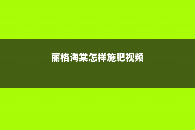 丽格海棠怎样施肥 (丽格海棠怎样施肥视频)