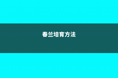 春兰怎么繁殖 (春兰培育方法)