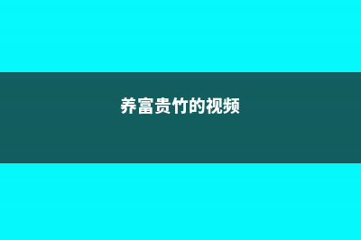 李大哥养富贵竹从来不买营养液，就用这2种水，枝条窜的拦不住！ (养富贵竹的视频)