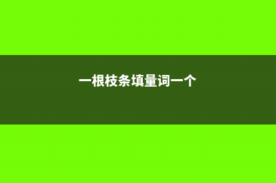 一根枝条，一个花盆，在家自己种桂花，不花钱也能嗅花香 (一根枝条填量词一个)