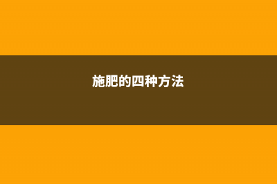 施肥简单，可你真做对了吗？学会这个方法，爆盆开花更容易 (施肥的四种方法)