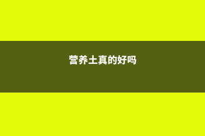 别买营养土了，大爷支招，这3种东西掺一起，养花比啥都管用！ (营养土真的好吗)