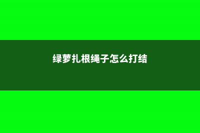 绿萝扎根绳子，叶子长得比脸大，10天窜1米！ (绿萝扎根绳子怎么打结)