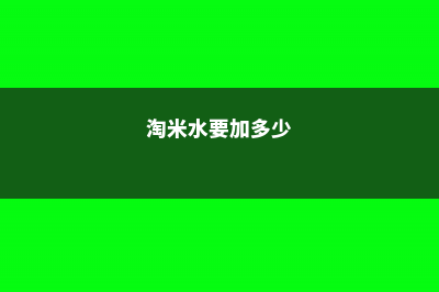 淘米水兑点料，绿萝叶子绿得冒油，大白根能撑爆盆！ (淘米水要加多少)