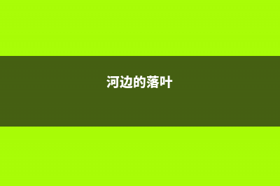 山上落叶河边沙，随手捡点扔花盆，叶子肥得流油！ (河边的落叶)