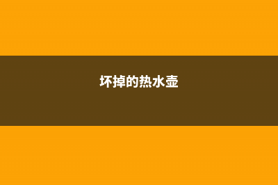 坏掉的“热水壶”可别扔，扔把豆子在里面，几天就发芽 (坏掉的热水壶)