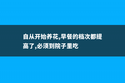 自从开始养花，她就得了一个怪病，瞅啥都是花盆！ (自从开始养花,早餐的档次都提高了,必须到院子里吃)