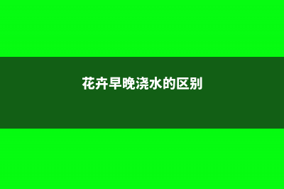 早晚浇花哪个好？要知道“时间”选错了，花养的再用心也白搭 (花卉早晚浇水的区别)