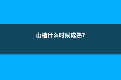 山楂什么季节成熟 (山楂什么时候成熟?)