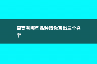 葡萄有哪些品种 (葡萄有哪些品种请你写出三个名字)